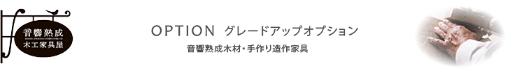 グレードアップオプション